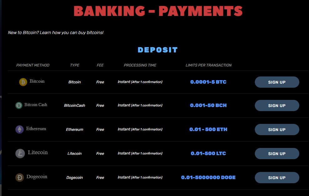 bitcoincasino.us banking payment options