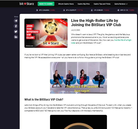 bitstarz vip club terms screenshot