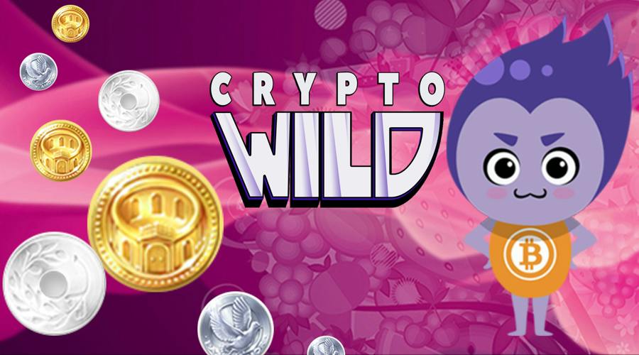 Crypto Wild casino has four different deposit bonuses