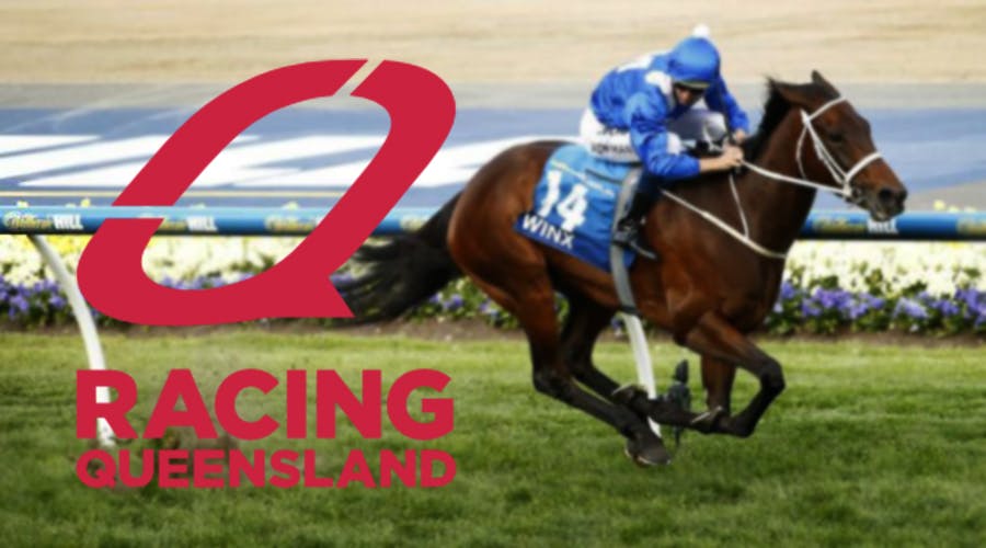 “1 for Bush”: Racing Queensland and four betting operators donate to fight fires