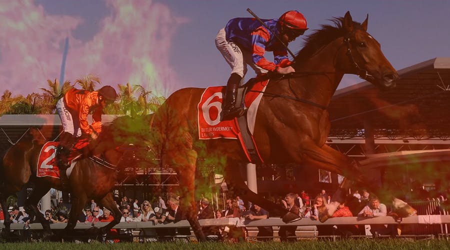 Adelaide horse racing to take place despite the extreme heatwave