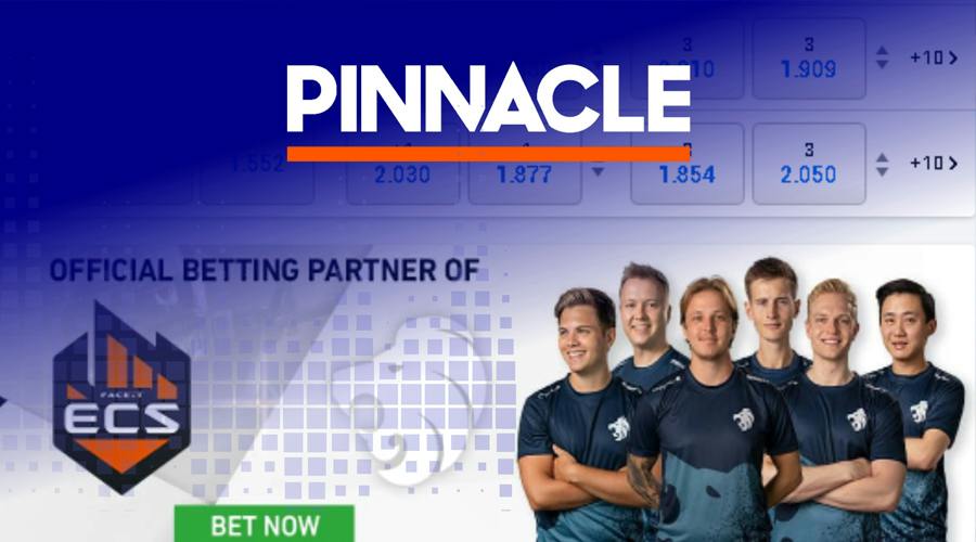 Pinnacle celebrated its 20 years of being in business