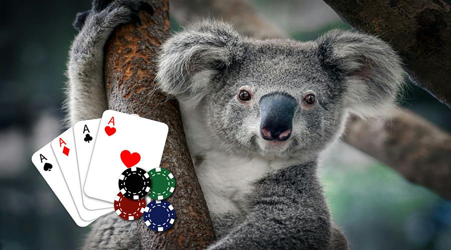 Australian Poker Community joins the wildlife fundraising movement