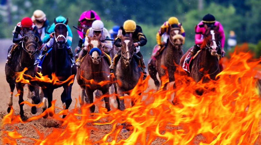 Bushfire fundraising: Special race day at Randwick