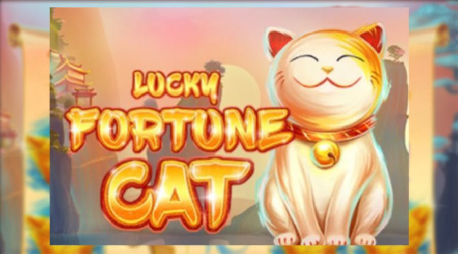 Hand fan, white cat and sakura: new Lucky Fortune Cat slot game inspired by Japan